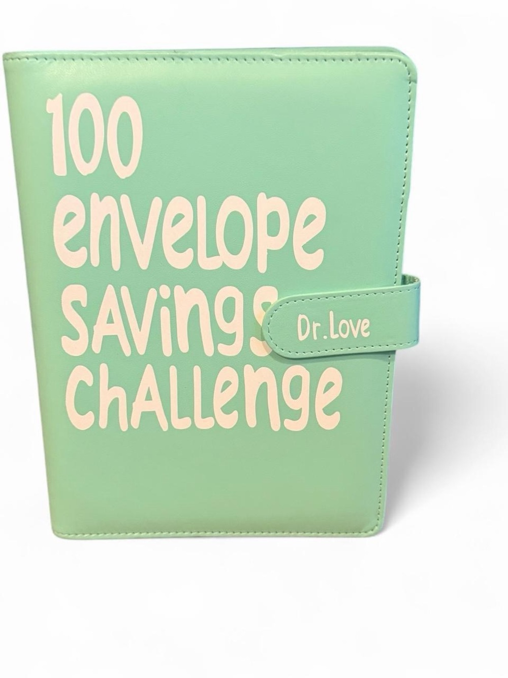 Mint '100 Envelope Savings Challenge' Organizer binder
